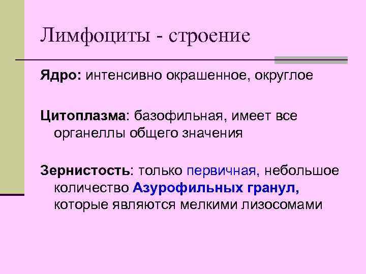 Лимфоциты - строение Ядро: интенсивно окрашенное, округлое Цитоплазма: базофильная, имеет все органеллы общего значения