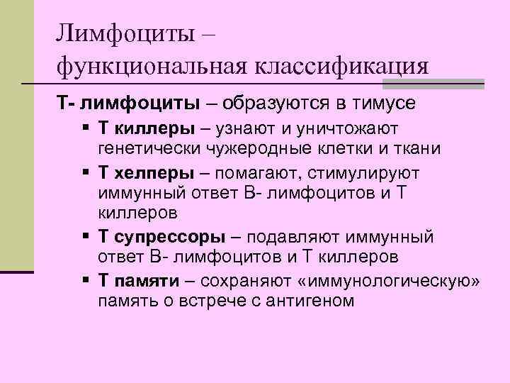 Лимфоциты – функциональная классификация Т- лимфоциты – образуются в тимусе  § Т киллеры