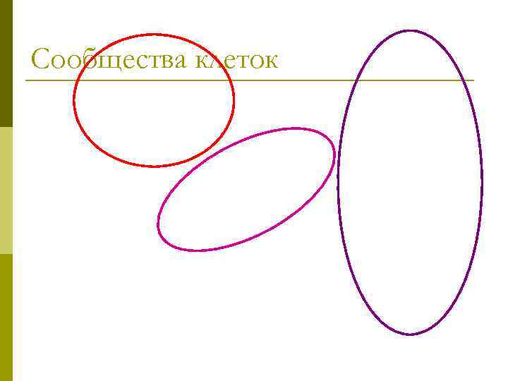 Сообщества клеток 