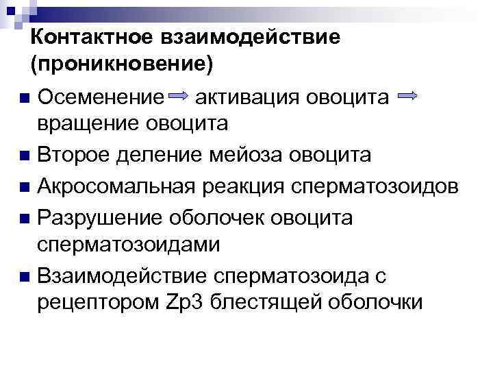  Контактное взаимодействие (проникновение) n Осеменение активация овоцита  вращение овоцита n Второе деление