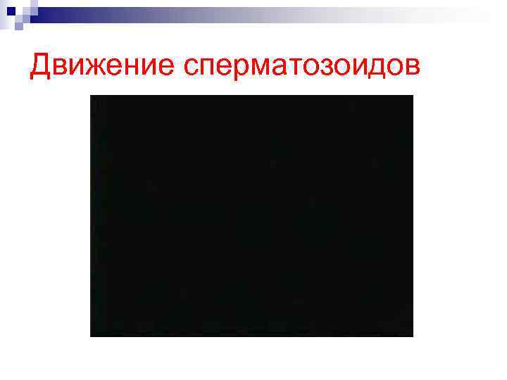 Движение сперматозоидов 