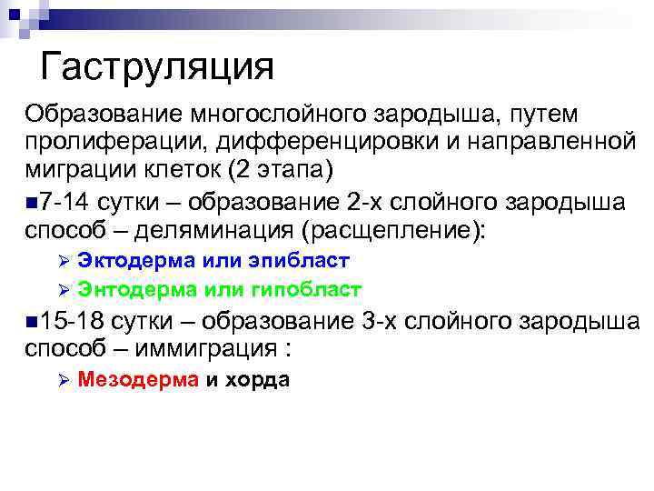  Гаструляция Образование многослойного зародыша, путем пролиферации, дифференцировки и направленной миграции клеток (2 этапа)