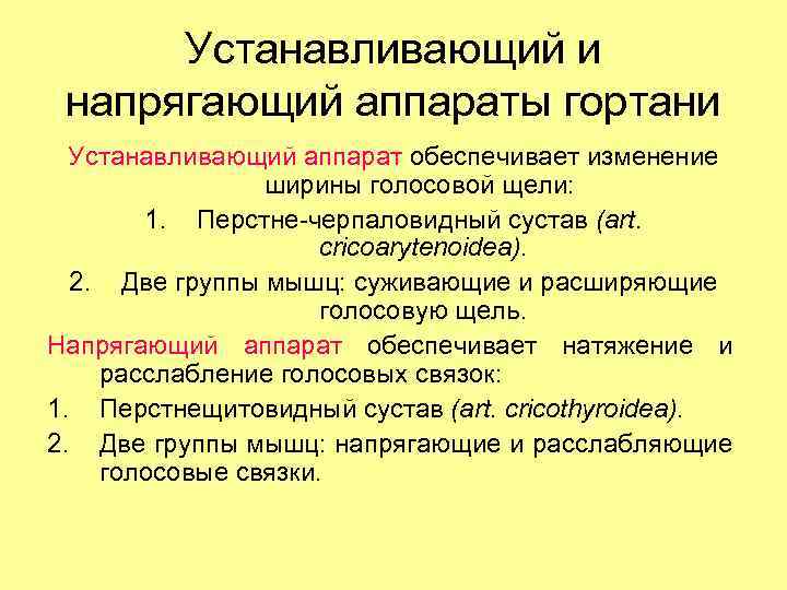 Устанавливающий и напрягающий аппараты гортани Устанавливающий аппарат обеспечивает изменение ширины голосовой щели: 1. Перстне-черпаловидный