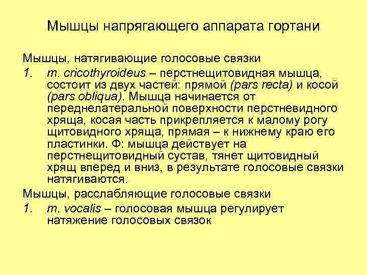 Мышцы напрягающего аппарата гортани Мышцы, натягивающие голосовые связки 1. m. cricothyroideus – перстнещитовидная мышца,