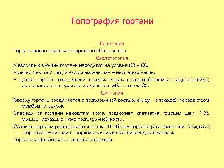 Топография гортани Голотопия Гортань располагается в передней области шеи. Скелетотопия У взрослых мужчин гортань