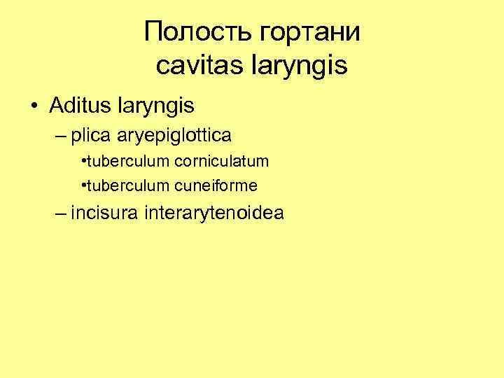 Полость гортани сavitas laryngis • Aditus laryngis – plica aryepiglottica • tuberculum corniculatum •