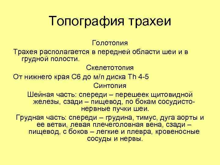 Топография трахеи Голотопия Трахея располагается в передней области шеи и в грудной полости. Скелетотопия