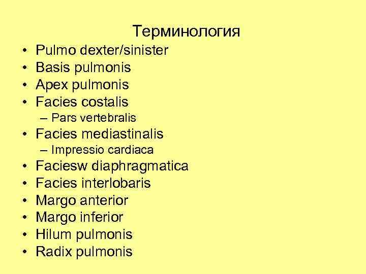 Терминология • • Pulmo dexter/sinister Basis pulmonis Apex pulmonis Facies costalis – Pars vertebralis