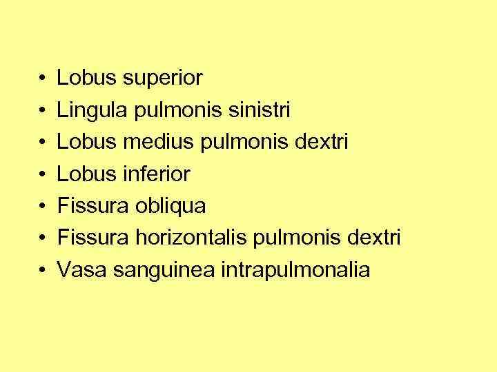  • • Lobus superior Lingula pulmonis sinistri Lobus medius pulmonis dextri Lobus inferior