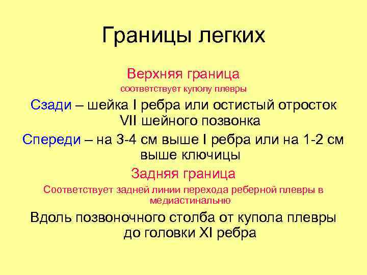 Границы легких Верхняя граница соответствует куполу плевры Сзади – шейка I ребра или остистый