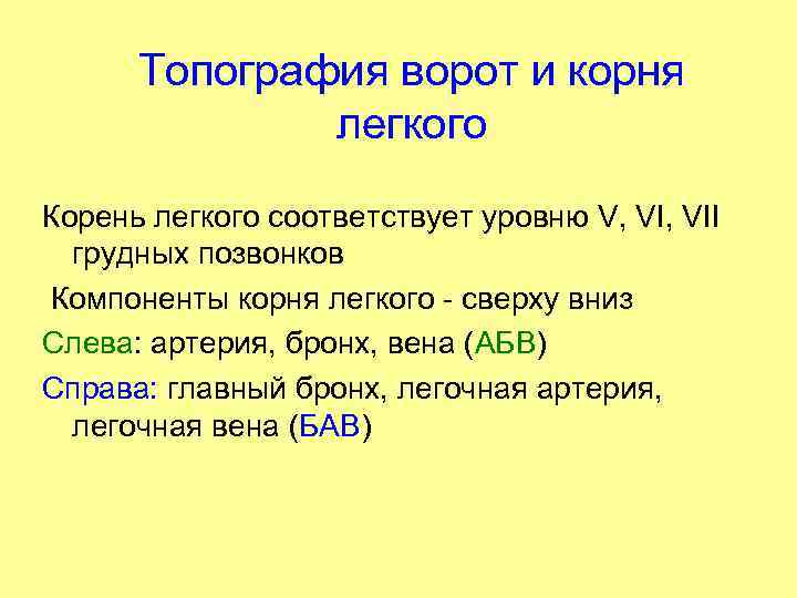 Топография ворот и корня легкого Корень легкого соответствует уровню V, VII грудных позвонков Компоненты