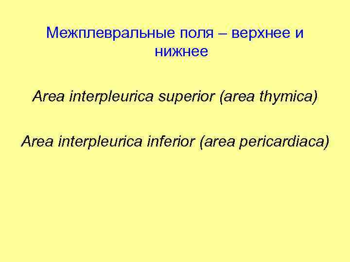 Межплевральные поля – верхнее и нижнее Area interpleurica superior (area thymica) Area interpleurica inferior