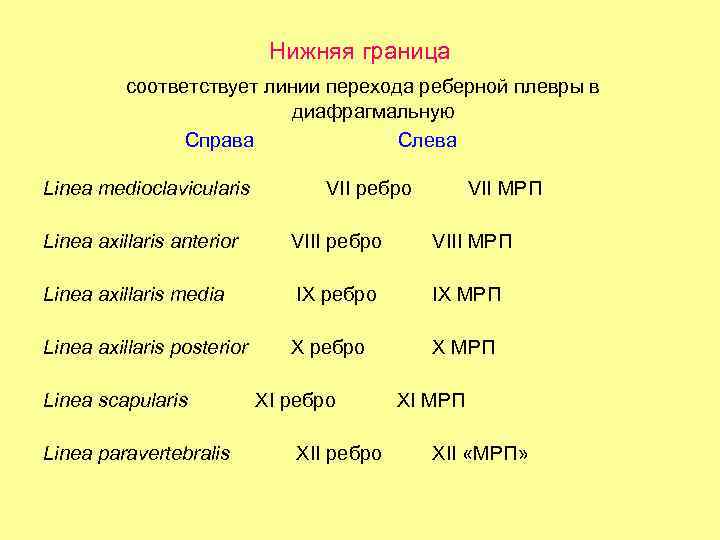 Нижняя граница соответствует линии перехода реберной плевры в диафрагмальную Справа Слева Linea medioclavicularis VII