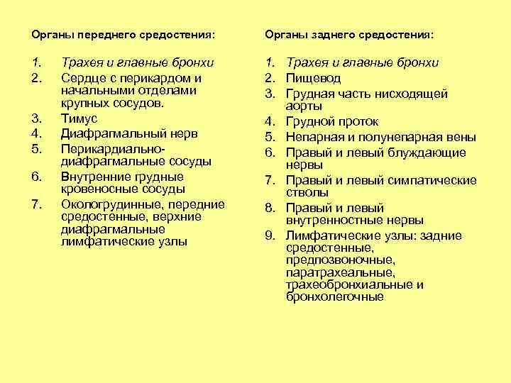 Органы переднего средостения: Органы заднего средостения: 1. 2. 1. Трахея и главные бронхи 2.