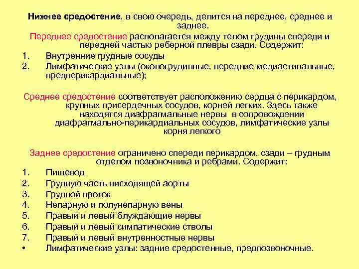 Нижнее средостение, в свою очередь, делится на переднее, среднее и заднее. Переднее средостение располагается