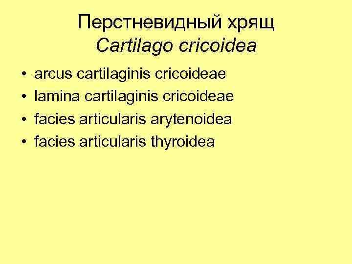 Перстневидный хрящ Cartilago cricoidea • • arcus cartilaginis cricoideae lamina cartilaginis cricoideae facies articularis