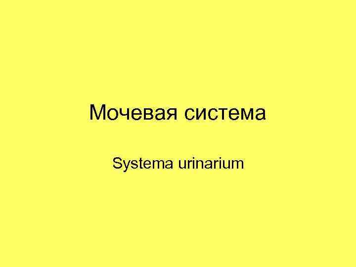 Мочевая система  Systema urinarium 