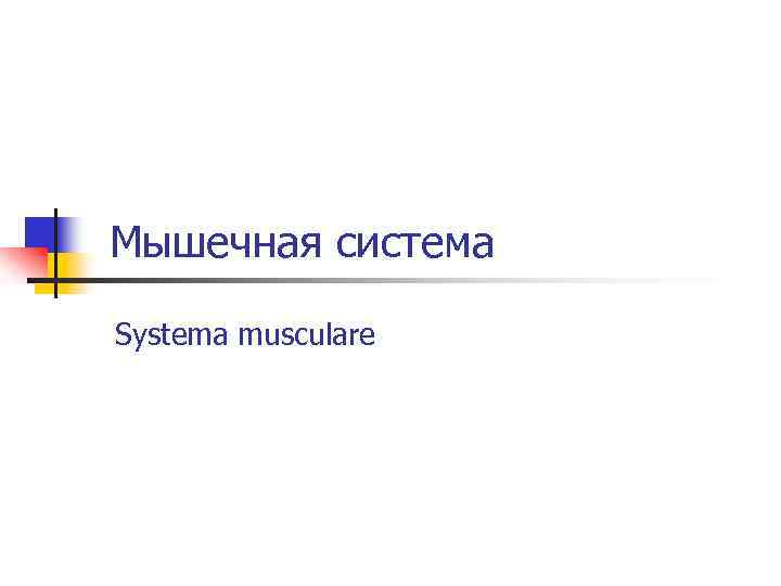 Мышечная система Systema musculare 