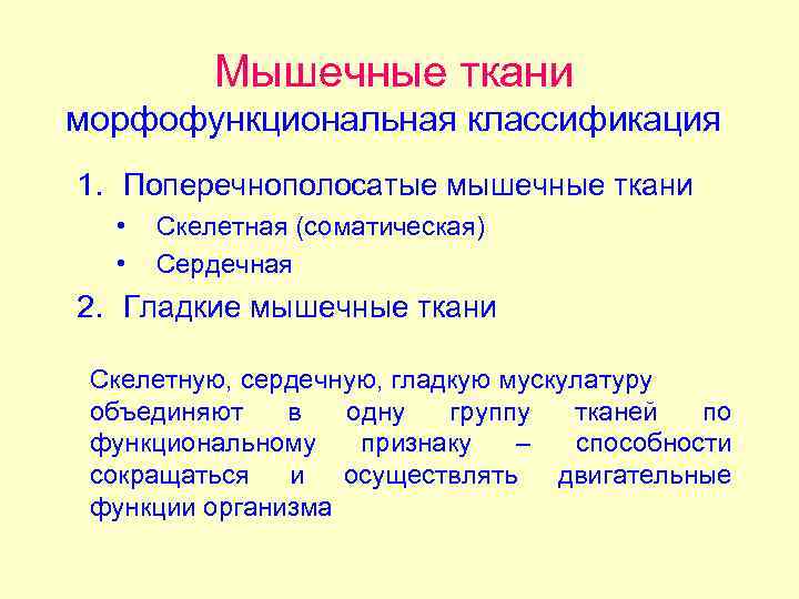 Мышечные ткани морфофункциональная классификация 1. Поперечнополосатые мышечные ткани • • Скелетная (соматическая) Сердечная 2.