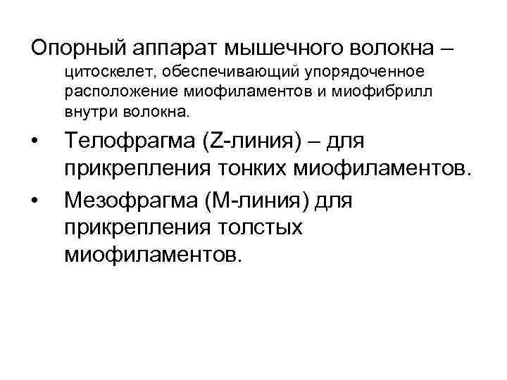 Опорный аппарат мышечного волокна – цитоскелет, обеспечивающий упорядоченное расположение миофиламентов и миофибрилл внутри волокна.