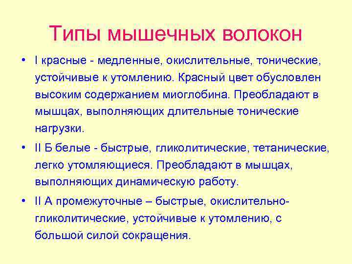 Типы мышечных волокон • I красные - медленные, окислительные, тонические, устойчивые к утомлению. Красный