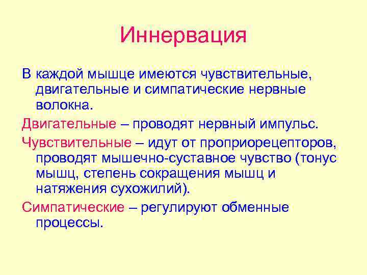 Иннервация В каждой мышце имеются чувствительные, двигательные и симпатические нервные волокна. Двигательные – проводят