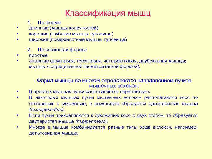 Классификация мышц • • • 1. По форме: длинные (мышцы конечностей) короткие (глубокие мышцы