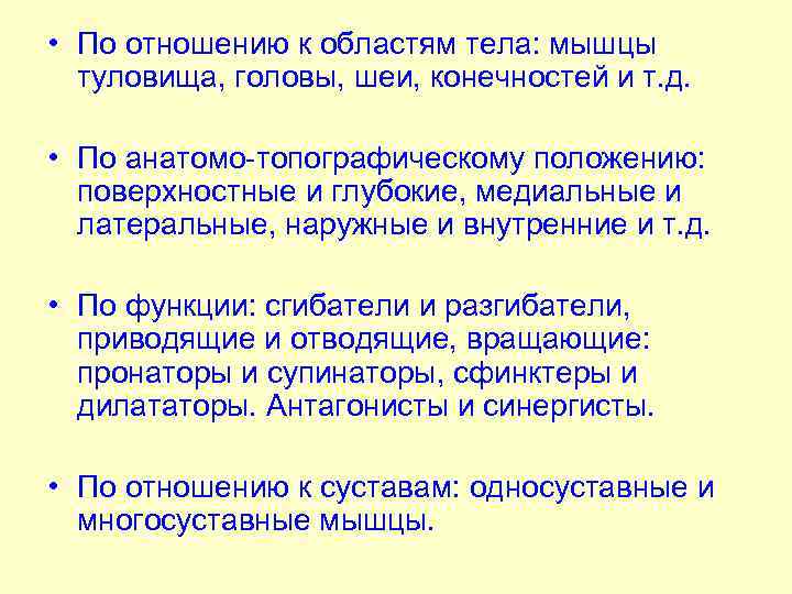  • По отношению к областям тела: мышцы туловища, головы, шеи, конечностей и т.