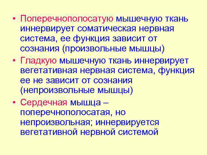  • Поперечнополосатую мышечную ткань иннервирует соматическая нервная система, ее функция зависит от сознания