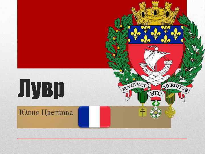 Лувр Юлия Цветкова 