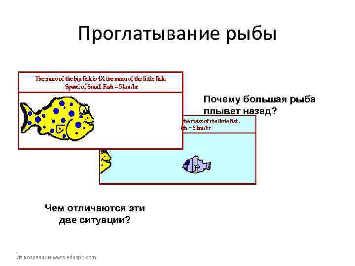     Проглатывание рыбы       Почему большая
