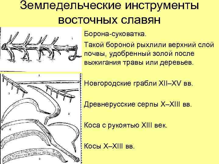 Земледельческие инструменты восточных славян   Борона-суковатка.  Такой бороной рыхлили верхний слой 