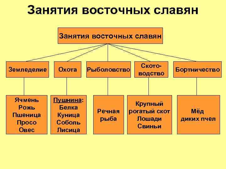   Занятия восточных славян       Ското- Земледелие 