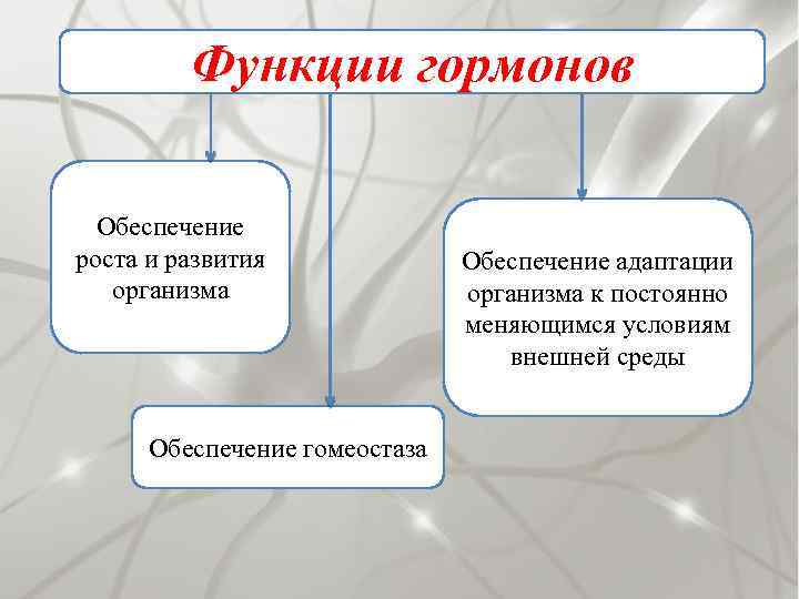 Функции гормонов Обеспечение роста и развития организма Обеспечение гомеостаза Обеспечение адаптации организма к постоянно
