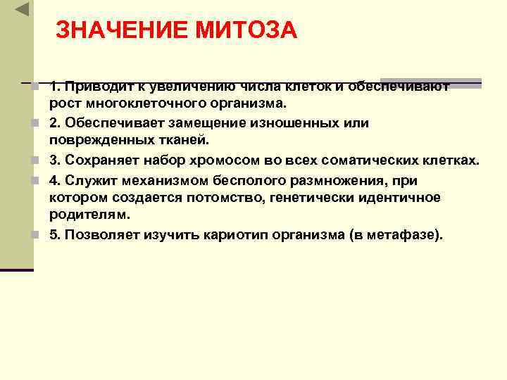  ЗНАЧЕНИЕ МИТОЗА n 1. Приводит к увеличению числа клеток и обеспечивают рост многоклеточного