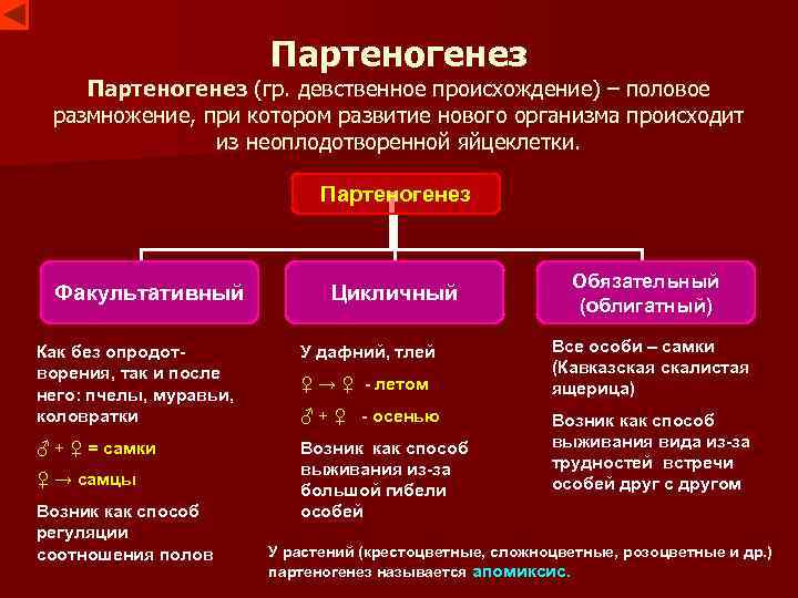  Партеногенез (гр. девственное происхождение) – половое размножение, при котором развитие нового организма происходит