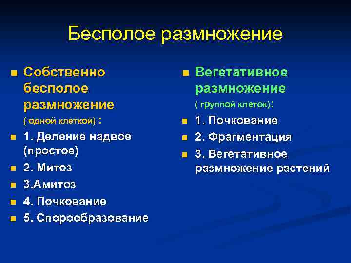  Бесполое размножение n Собственно n Вегетативное бесполое размножение ( группой клеток): ( одной