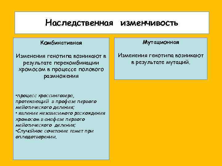 Наследственная изменчивость Комбинативная Мутационная Изменения генотипа возникают в результате перекомбинации хромосом в процессе полового