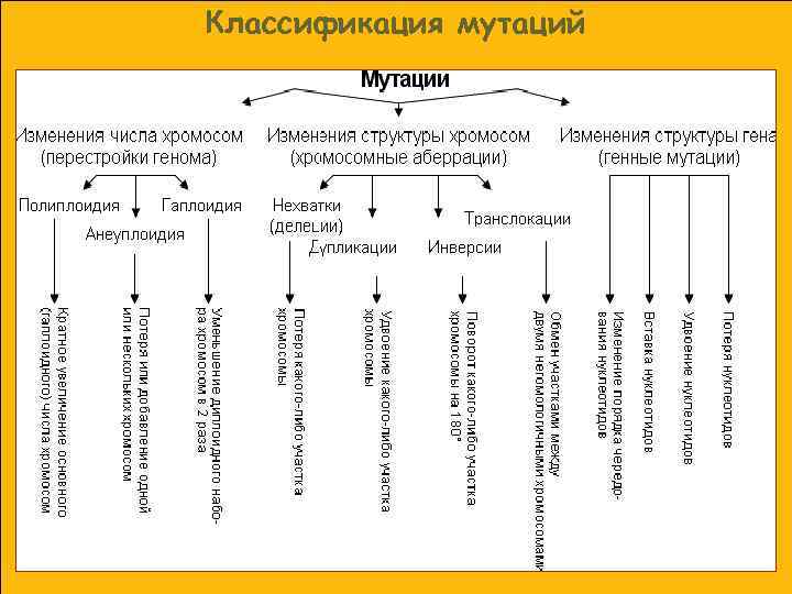 Классификация мутаций 