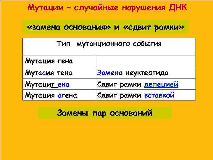 Мутации – случайные нарушения ДНК «замена основания» и «сдвиг рамки» Тип мутанционного события Мутация