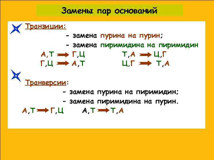 Замены пар оснований Транзиции: - замена пурина на пурин; - замена пиримидина на пиримидин