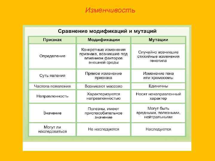 Изменчивость 