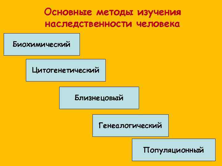 Основные методы изучения наследственности человека Биохимический Цитогенетический Близнецовый Генеалогический Популяционный 
