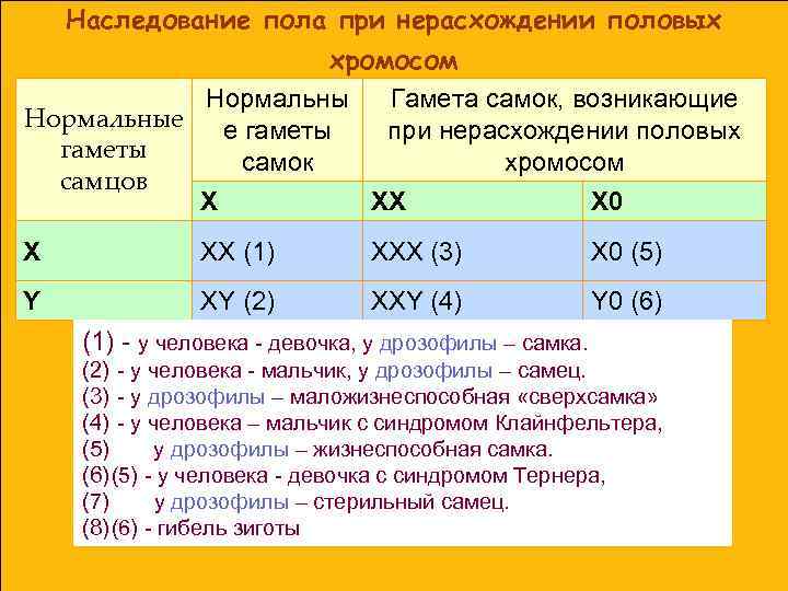 Наследование пола при нерасхождении половых хромосом Нормальны Гамета самок, возникающие Нормальные е гаметы при