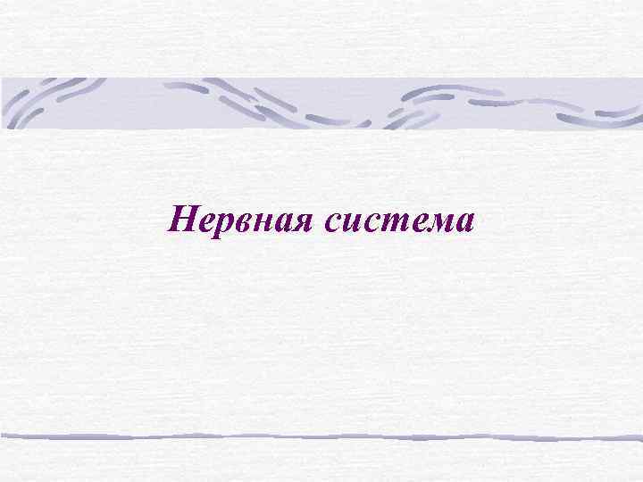 Нервная система Нервная система