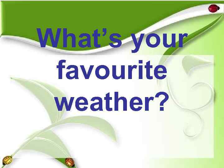 What’s your favourite weather? 