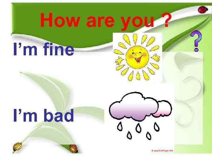  How are you ? I’m fine  I’m bad 