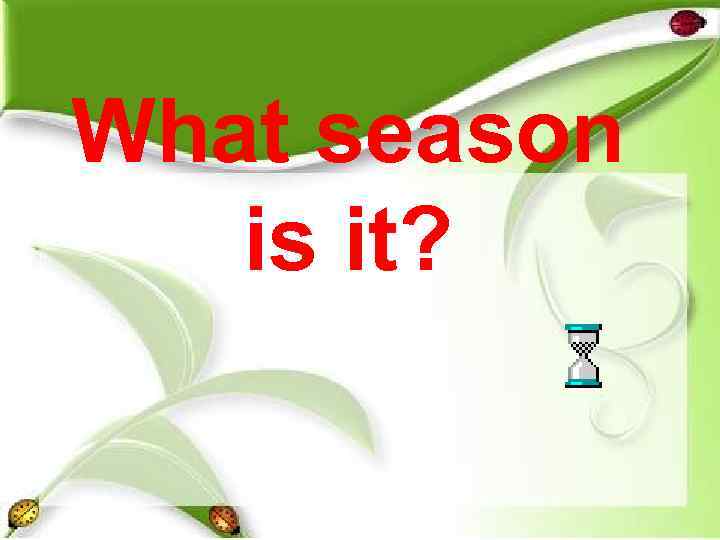 What season  is it? 