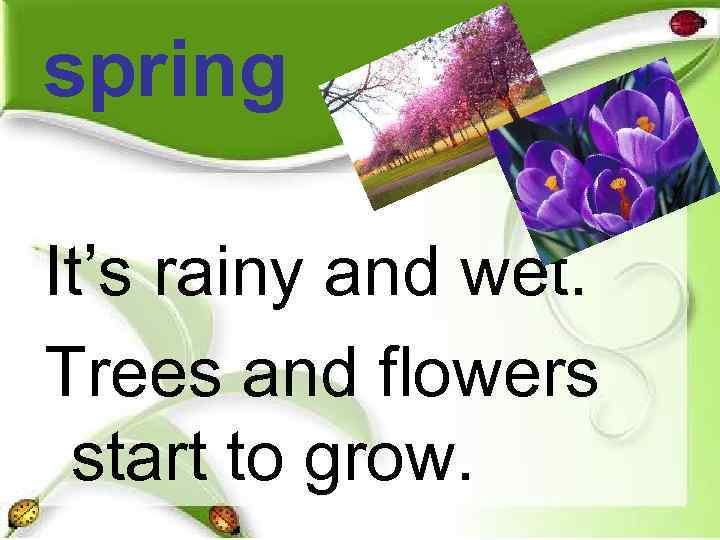 spring It’s rainy and wet. Trees and flowers start to grow. 