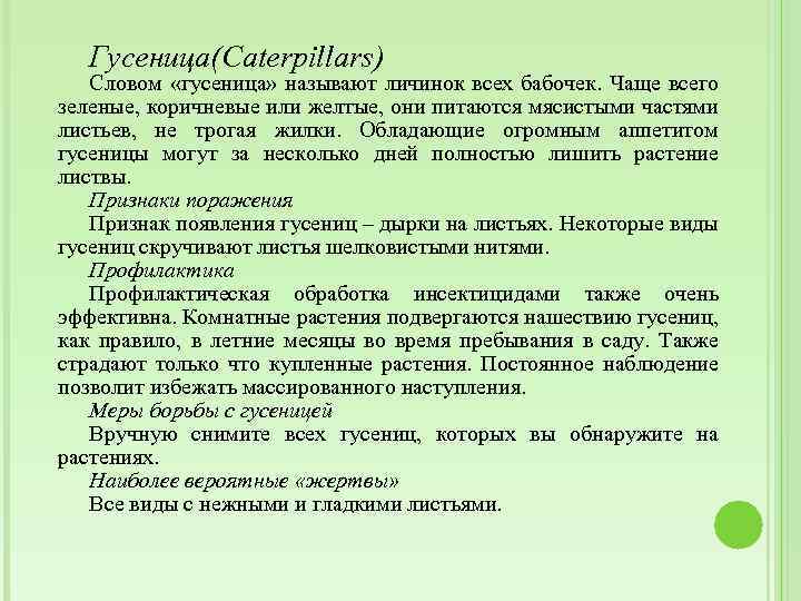Гусеница(Caterpillars) Словом «гусеница» называют личинок всех бабочек. Чаще всего зеленые, коричневые или желтые, они